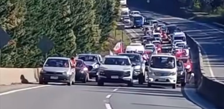 Extensa caravana denuncia abuso judicial de Forestal Arauco en contra de familias de Curanilahue