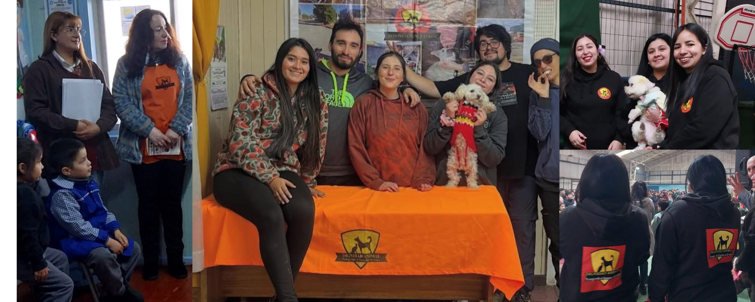 Dignidad Animal Curanilahue celebra 12 años de amor y compromiso con nuestros animales