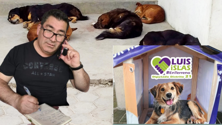 Luis Isla, propone transformar propaganda electoral en refugios para perros callejeros