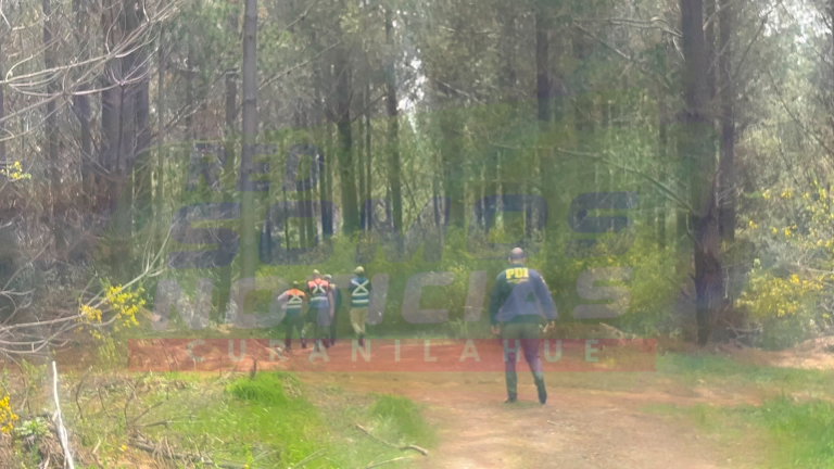 Adulto mayor desaparecido en Curanilahue fue encontrado por su hijo y al momento del hallazgo aún estaba con vida