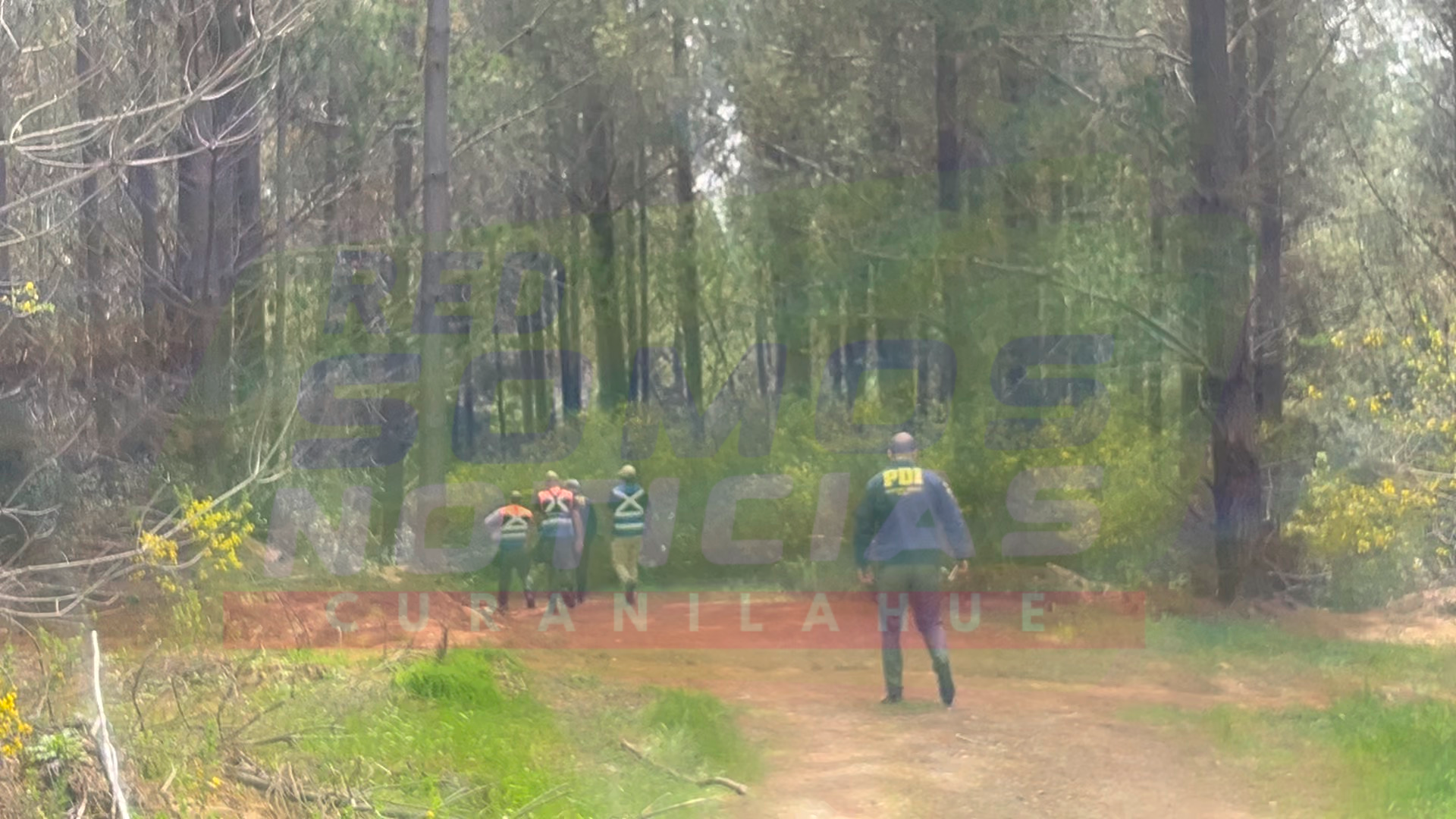 Adulto mayor desaparecido en Curanilahue fue encontrado por su hijo y al momento del hallazgo aún estaba con vida