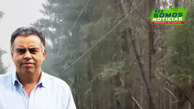 Pedro Pablo Valenzuela criticó la falta de responsabilidad social empresarial de las forestales que invaden el tendido eléctrico y dejan a vecinos rurales sin suministro
