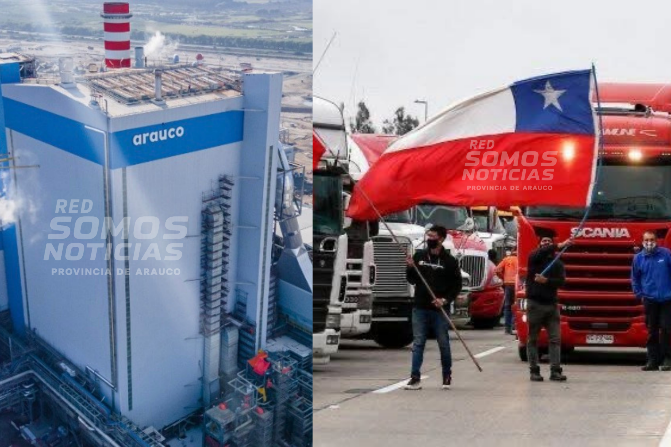 Forestal Arauco termina contrato con más de 300 camioneros: 200 son de Curanilahue