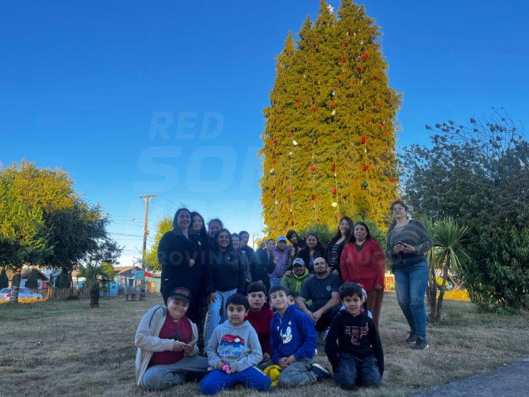 Un árbol natural de casi 40 metros sorprende en Curanilahue sector Colico Norte y busca ser el más grande de Chile