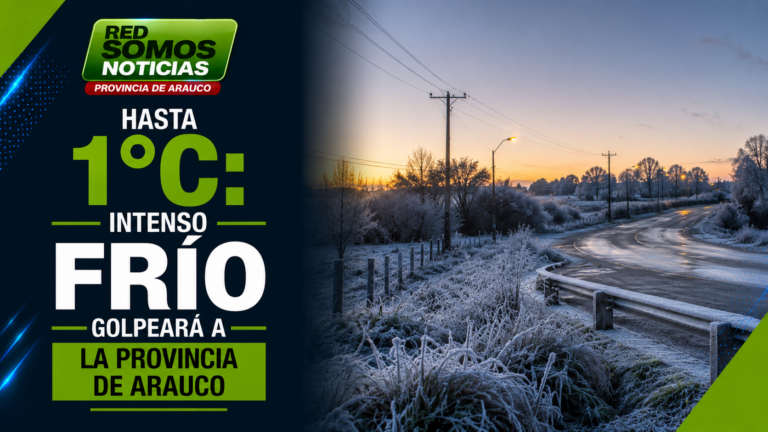 Hasta 1°C: intenso frío golpeará a la Provincia de Arauco y varias comunas podrían registrar heladas este jueves