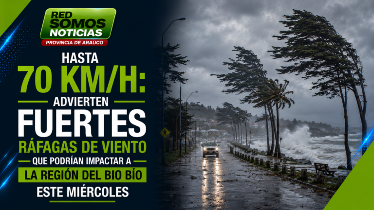 Hasta 70 km/h: advierten fuertes ráfagas de viento que podrían afectar a la Región del Biobío este miércoles