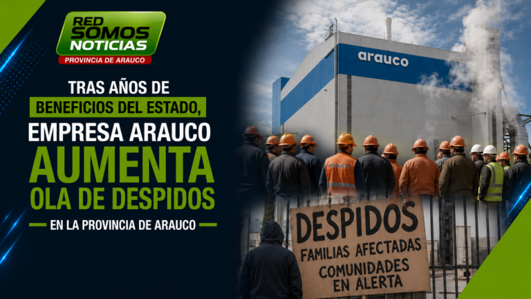 Tras años de recibir beneficios del Estado, Empresa Arauco intensifica ola de despidos en la Provincia de Arauco