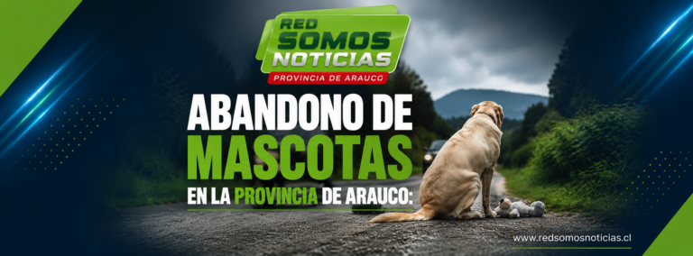 Abandono de mascotas en la Provincia de Arauco: una problemática que crece en carreteras y sectores rurales