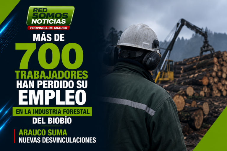 Más de 700 trabajadores han perdido su empleo en la industria forestal del Biobío; Arauco suma nuevas desvinculaciones