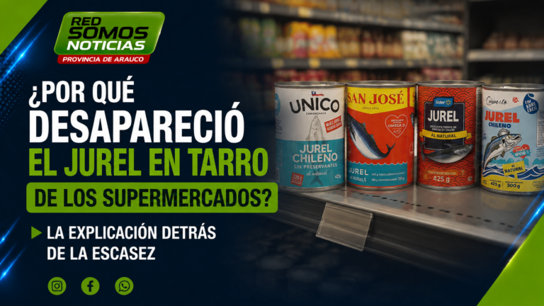 ¿Por qué desapareció el jurel en tarro de los supermercados? La explicación detrás de la escasez